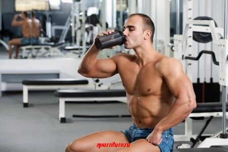 Питание для фитнеса (протеин) – спортивное питание при различных типах тренировок