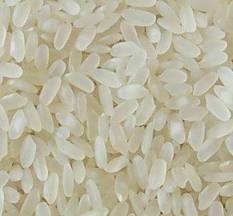 Рис "камолино" (среднезёрный)