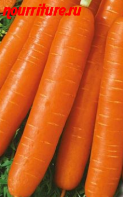 Морковь сорта "любимая"