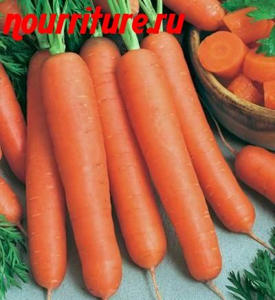 Морковь сорта "карлена" (немецкая селекция)