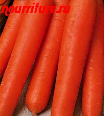 Морковь сорта "барыня"