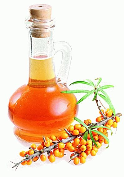кулинарная статья Масло плодов облепихи