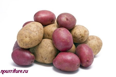 Картофель сорта "амороза" (голландская селекция)