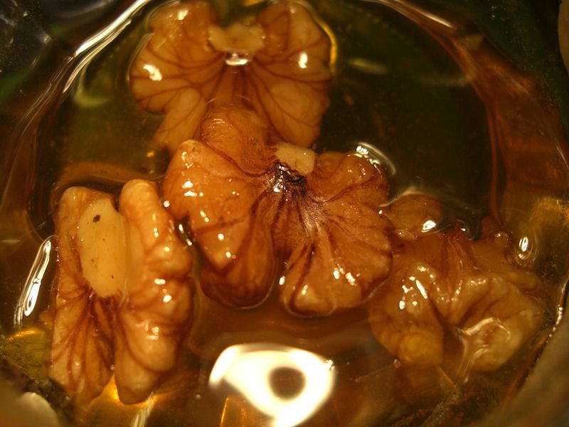 Смесь мёда и грецких орехов при холецистите, пиелонефрите и гипертонии