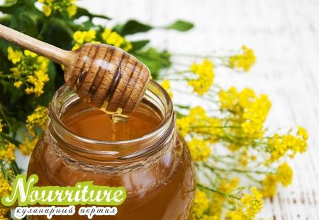 Рапсовый мёд: свойства рапсового мёда