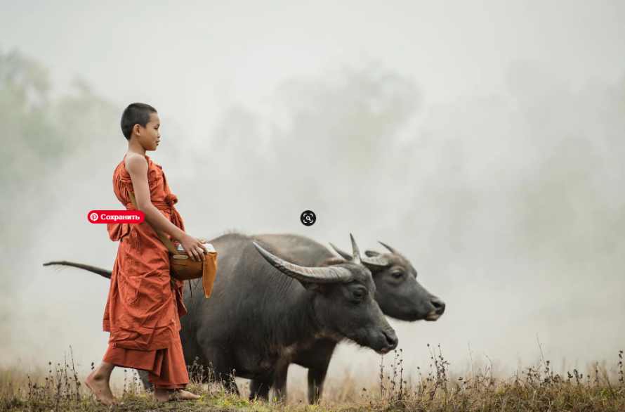 Сонник монах