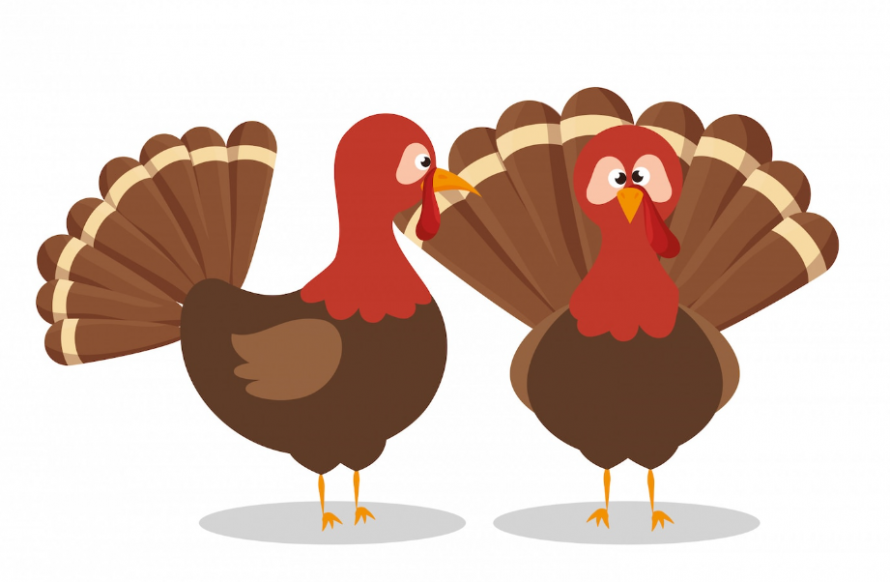 Сонник индейка