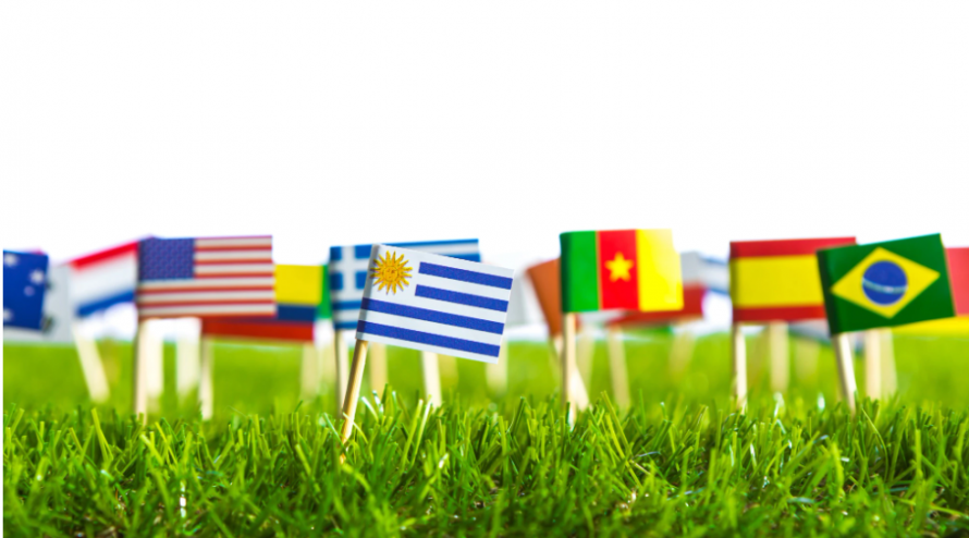 Сонник флаг