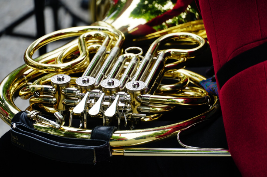 Сонник валторна