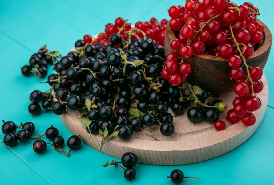 Сонник смородина