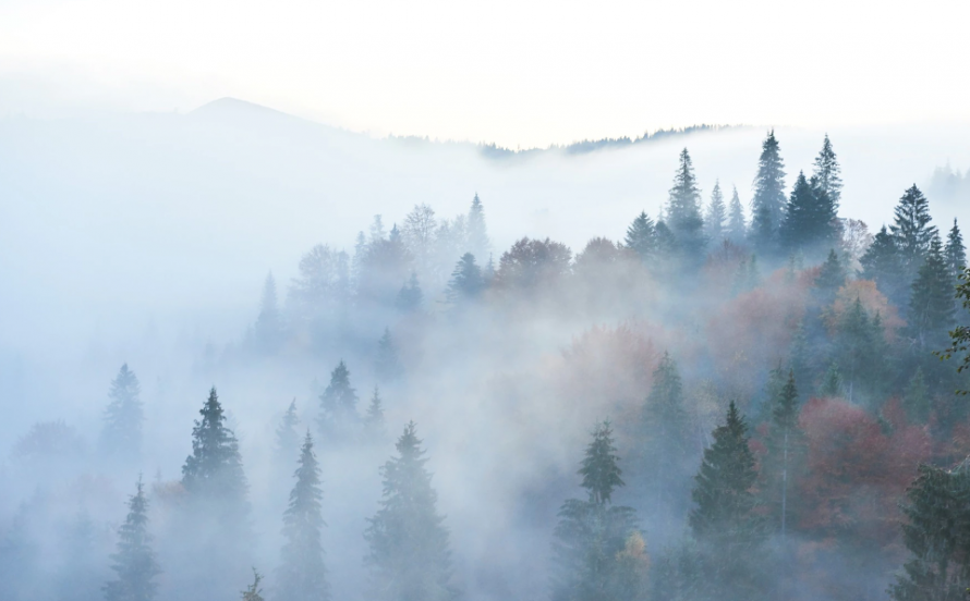 Сонник туман