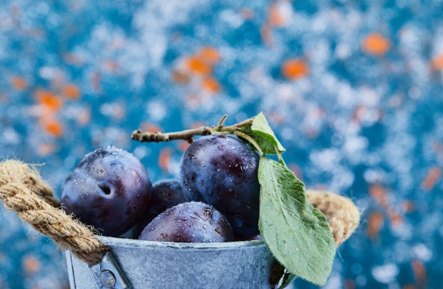 Сонник слива