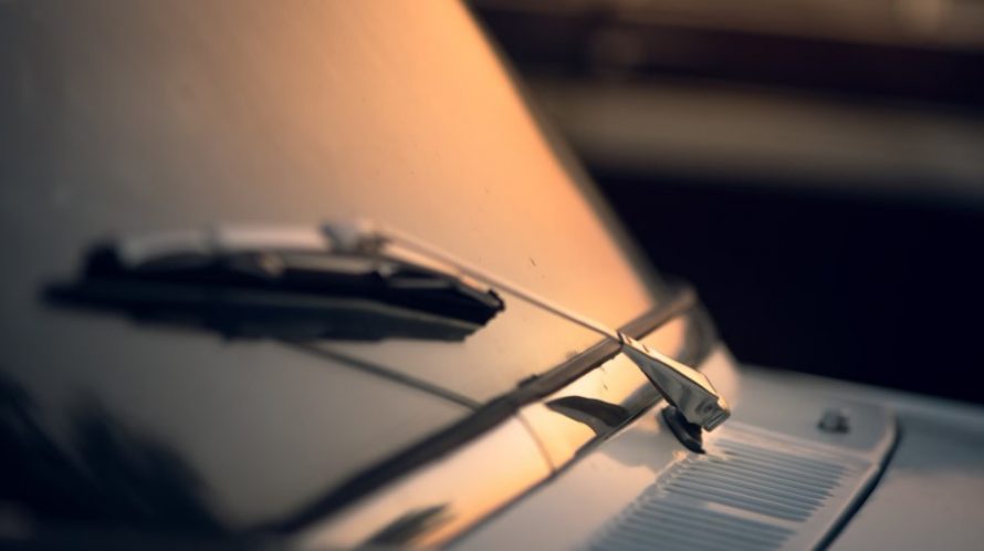 Сонник дворники