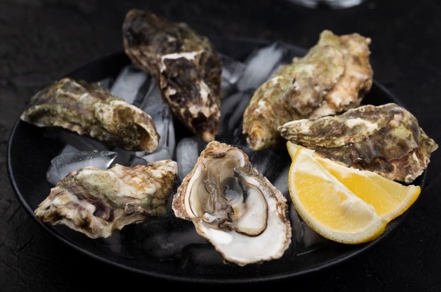 Сонник устрица