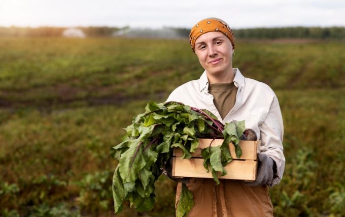 Сонник фермер