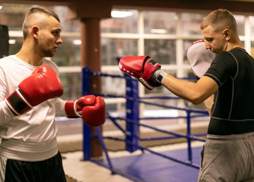 Сонник боксер