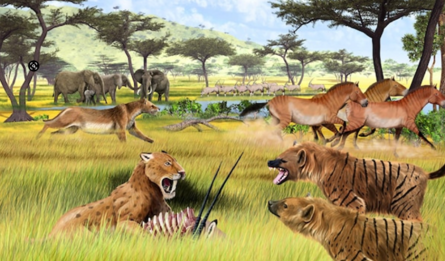 Сонник саблезубый тигр