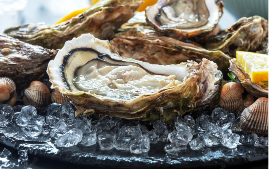 Сонник моллюск и морская ракушка