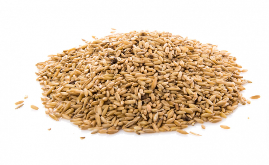 Сонник овес