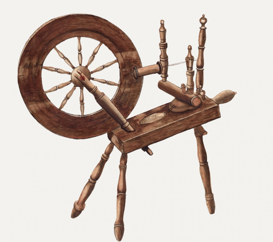 Сонник веретено