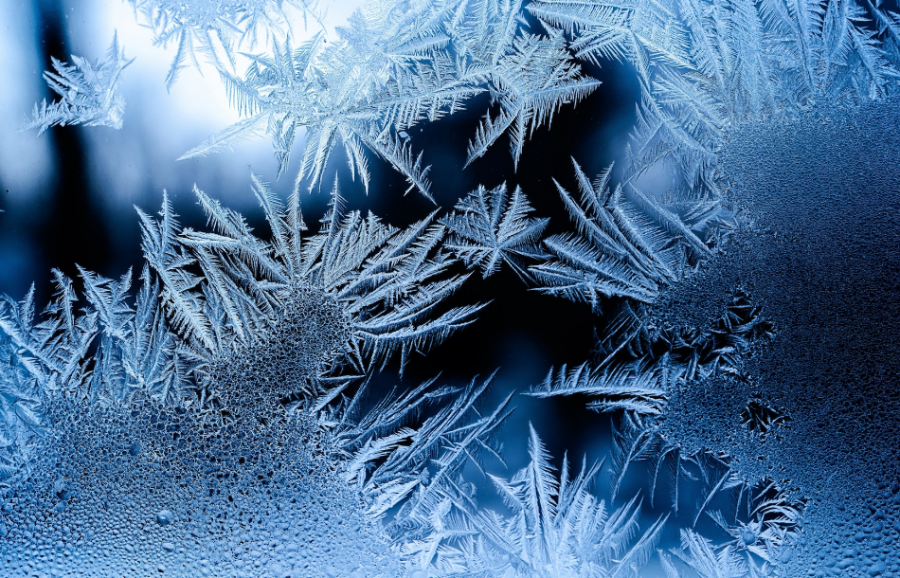 Сонник снежинка