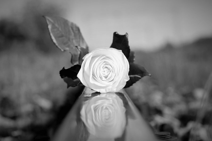 Сонник суицид