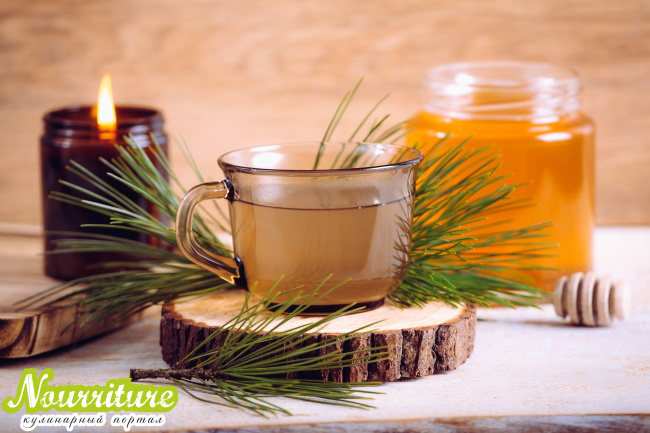 Сосновые, еловые иголки при цистите, кашле