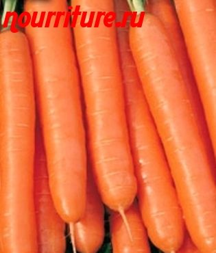 Морковь сорта "император"