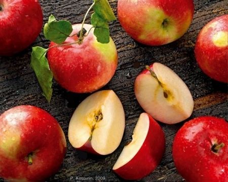 Какими бывают яблоки по степени зрелости?  