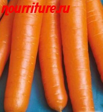 Морковь сорта "зимний цукат"