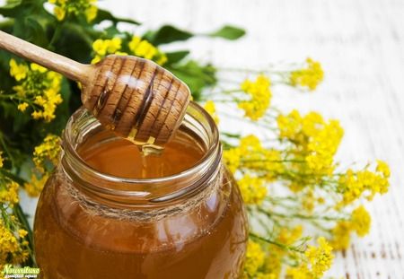 Рапсовый мёд: свойства рапсового мёда