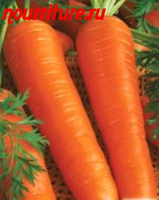 Морковь сорта "алёнка"