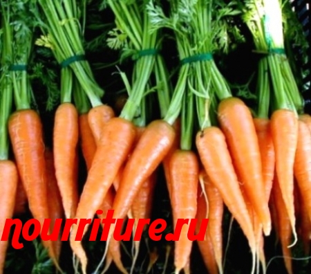 Морковь сорта "цукат"