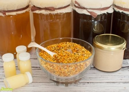 Кипрейный мёд: полезные свойства кипрейного мёда