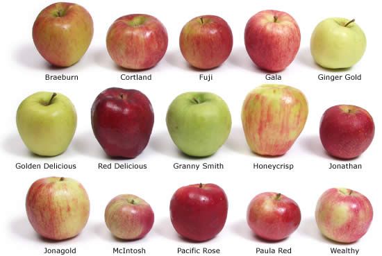 Какими бывают яблоки по вкусу?