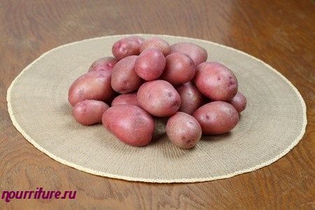 Картофель сорта "беллароза" (немецкая селекция)