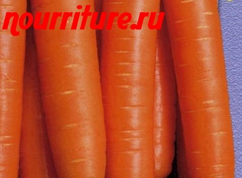 Морковь сорта "лакомка"