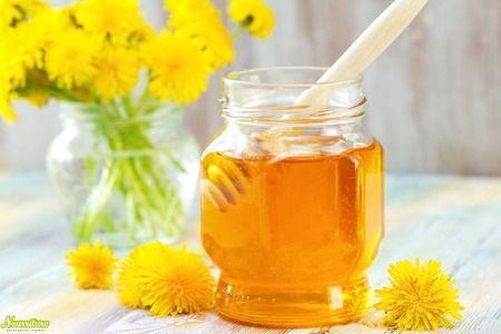 Одуванчиковый мёд: свойства одуванчикового мёда