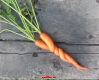 "Морковная" измена-2 (продолжение истории о моркови и сельдерее)