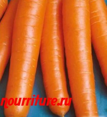 Морковь сорта "зимний цукат"