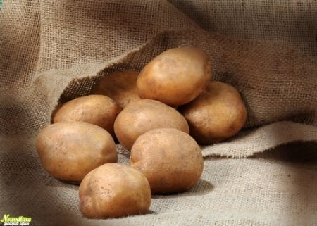 Как правильно хранить картошку?