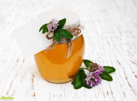Клеверный мёд: свойства клеверного мёда