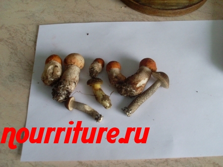 Особенности приготовления натуральных консервированных грибов