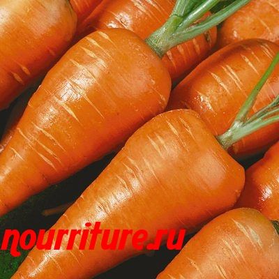 Морковь сорта "мо"