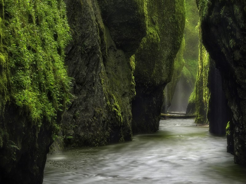 20-oneonta-gorge-oregon-cr-getty.jpg 20-oneonta-gorge-oregon-cr-getty.jpg