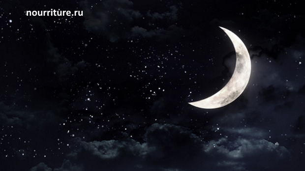 Luna.jpg Luna.jpg