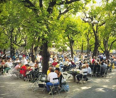 10.jpg 10.jpg