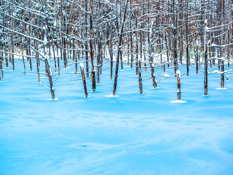 04-Blue-Pond-Hokkaido-Japan.jpg 04-Blue-Pond-Hokkaido-Japan.jpg