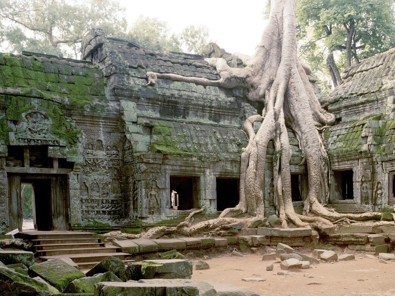 15-ta-prohm-angkor-wat-cambodia-cr-gallery-stock.jpg 15-ta-prohm-angkor-wat-cambodia-cr-gallery-stock.jpg