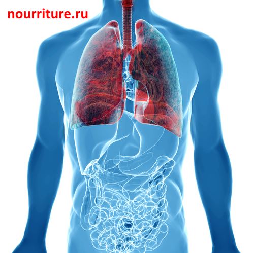 Lung-cancer.jpg